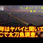 和歌山ＭＣの太刀魚釣り。今年は異常と聞いたので調査。7月4週目の太刀魚釣り・青物ノマセ釣り。