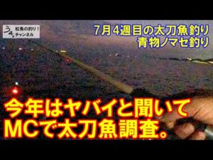 和歌山ＭＣの太刀魚釣り。今年は異常と聞いたので調査。7月4週目の太刀魚釣り・青物ノマセ釣り。