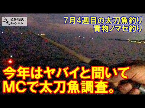 和歌山MCの太刀魚釣り。今年は異常と聞いたので調査。7月4週目の太刀魚釣り・青物ノマセ釣り。
