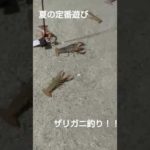 夏の定番遊び！ザリガニ釣り！！