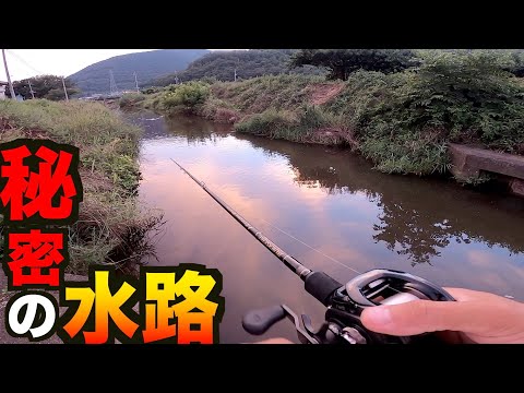 ７年間隠していた「秘密の水路」で釣りしたら最後の大逆転劇か！？