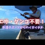 【かかり釣り】エサ代0円⁉︎イガイだけでチヌを釣るよ! 貸しボート養殖コワリイガイチヌ‼︎ 福井県敦賀市　中村旅館