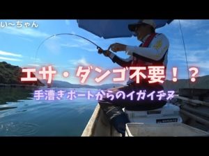 【かかり釣り】エサ代0円⁉︎イガイだけでチヌを釣るよ! 貸しボート養殖コワリイガイチヌ‼︎ 福井県敦賀市　中村旅館
