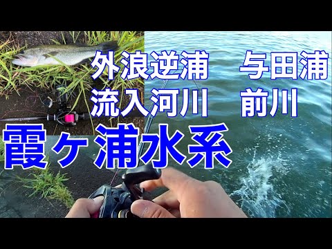 【バズベイト】霞ヶ浦バス釣りポイントガイド流入　外浪逆浦　前川　神之池2022年7月29日