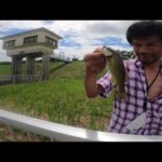 【ブラックバス】爆釣ポイント公開シリーズ！オススメバス釣りポイント教えます【バス釣り】