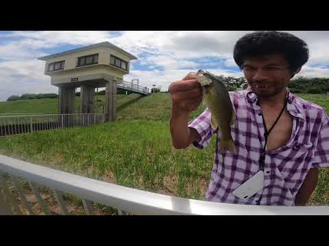 【ブラックバス】爆釣ポイント公開シリーズ!オススメバス釣りポイント教えます【バス釣り】