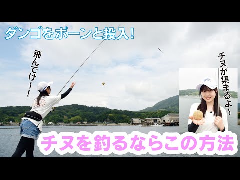チヌを釣りたいならこの方法！　ウキダンゴ釣り