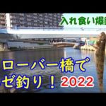 ハゼ釣り！★クローバー橋★2022【入れ食い爆釣♪】
