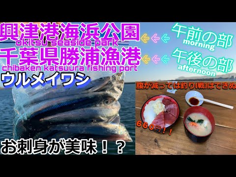 友人と千葉県勝浦市で海釣り！まずは腹が減っては釣りができぬということで海鮮丼で腹ごしらえをする。