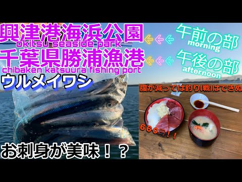 友人と千葉県勝浦市で海釣り！まずは腹が減っては釣りができぬということで海鮮丼で腹ごしらえをする。