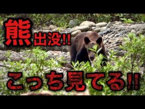 【超危険】子を守る母熊に遭遇‼釣りどころじゃない‼