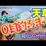 【天草ルアーで十目釣り】さすが天草の海！メッキにオオモン、謎の魚も釣れた！五目釣りの予定が色々釣れすぎて十目釣りに変更。