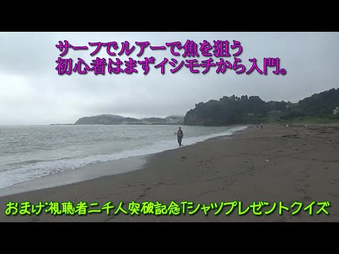 【砂浜ルアー釣り】なんだかんだ言って釣らなきゃ絵にならない。