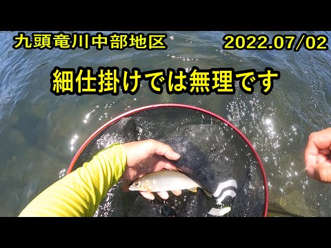 鮎釣り・九頭竜川中部地区・2022.07/02