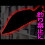 【村田基】釣り人憧れのあの魚 釣り禁止になるところだった…村田さんがアカメ釣りのタックル・ルアーについて語るシーン【村田基切り抜き/釣り/バス釣り/アカメ】