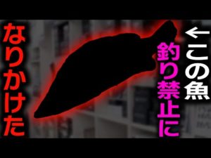 【村田基】釣り人憧れのあの魚 釣り禁止になるところだった…村田さんがアカメ釣りのタックル・ルアーについて語るシーン【村田基切り抜き/釣り/バス釣り/アカメ】