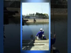 のんきなへら鮒釣り❗️こんなの最高楽しい❇️🌈