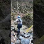 【渓流釣り】大イワナのポイントで...#Shorts