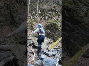 【渓流釣り】大イワナのポイントで...#Shorts