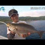 【釣り百景】#444 良型イサキにマダイ・キジハタ・他多数！ 山口県川尻沖でスーパーライトジギング