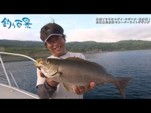【釣り百景】#444 良型イサキにマダイ・キジハタ・他多数! 山口県川尻沖でスーパーライトジギング