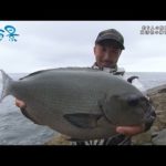 【釣り百景】#445 釣り人の聖地・五島列島  高活性の梅雨グレを狙う！