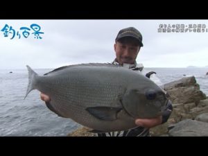 【釣り百景】#445 釣り人の聖地・五島列島  高活性の梅雨グレを狙う！