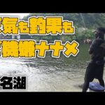 【紀州釣り】久々の浜名湖で紀州釣り！期待十分のはずが？【黒鯛釣り】【釣武者】