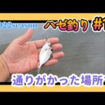 2022年【ハゼ釣り#17】7月15日 たまたま覗いたその場所で…サイズもそろってきました！‗釣果情報