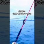 海釣りしてたら……