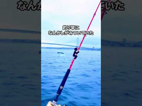 海釣りしてたら……