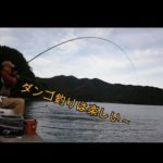 えむでテレビジョン210　ダンゴ釣りは楽しい　強風の中での釣り