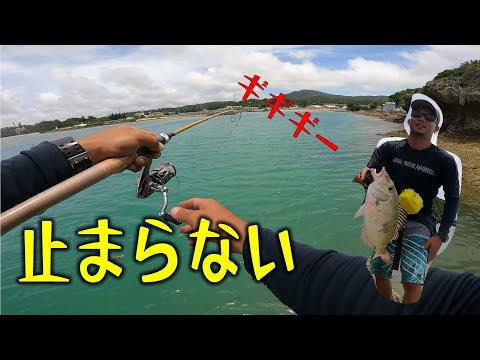 大物がいる川【沖縄】カニングチャレンジ！釣り