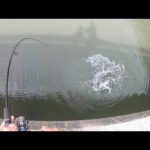 【凄釣】前ぶれなく襲われた予想外の大魚に子供もビビる！