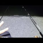 【１日限定公開】今日のメニュー「バス、ギル釣り、ごみ拾い、外来植物撤去、ギル産卵床確認など」