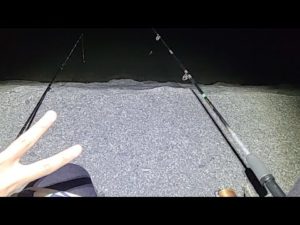 【１日限定公開】今日のメニュー「バス、ギル釣り、ごみ拾い、外来植物撤去、ギル産卵床確認など」