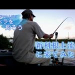 新利根川上流部に来てみたら【へら野釣り、新利根川】