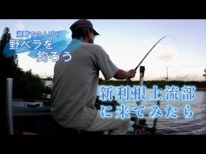 新利根川上流部に来てみたら【へら野釣り、新利根川】