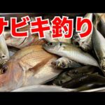 サビキで狙うボートでのアジ釣り！【船釣り/マイボート/プレジャーボート/YFR27】
