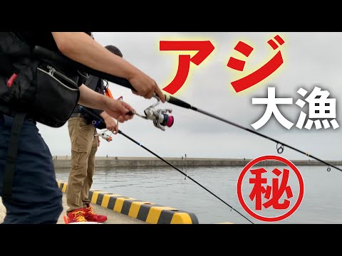 足下サビキ釣りでアジを狙ったら、本当にたくさんアジを釣りました。解説大漁アジ、鯵三昧のひけつを伝授!?