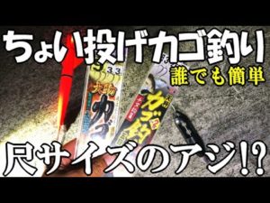 【誰でも簡単カゴ釣り】ちょい投げで尺サイズのアジ(新魚種)が釣れた！