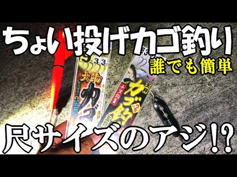 【誰でも簡単カゴ釣り】ちょい投げで尺サイズのアジ(新魚種)が釣れた！