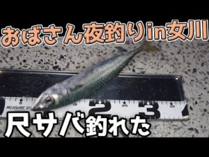 石巻～女川まさかの２夜連続夜釣り！？ 晩酌釣れるまで帰れません！アイナメのバターソテーは食べれるか？