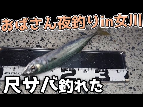 石巻～女川まさかの２夜連続夜釣り！？ 晩酌釣れるまで帰れません！アイナメのバターソテーは食べれるか？
