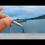 巨大アジ狙って湾内から安物ジグを投げた瞬間からヤバかった！
