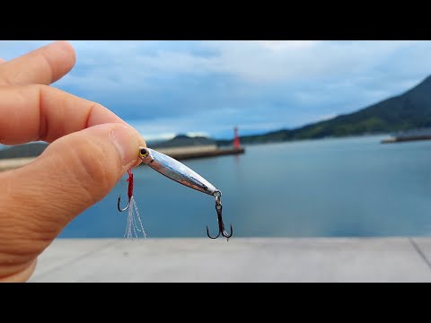 巨大アジ狙って湾内から安物ジグを投げた瞬間からヤバかった！