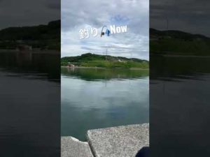 2022.7.9 #初心者 #今年初釣り #北海道 #石狩市 #厚田区 #厚田 #広瀬香美 #誰もいない海