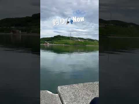 2022.7.9 #初心者 #今年初釣り #北海道 #石狩市 #厚田区 #厚田 #広瀬香美 #誰もいない海