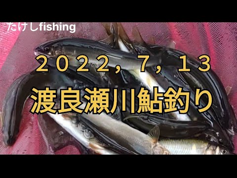 鮎釣り渡良瀬川ノロの無い所探して見ました😁