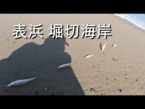氷のおかわり‼表浜でキス釣り